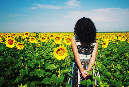 网页在线发短信平台